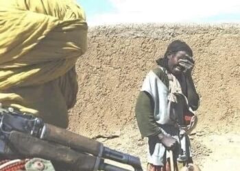 IGOT : L’Est du Tchad Violences intercommunautaires dans la province du Wadi Fira, opposant des membres des communautés Tama et Zaghawa, une délégation gouvernementale dépêchée en urgence