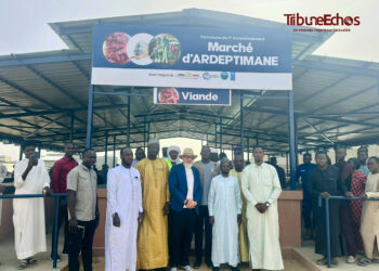 N&rsquo;Djaména : De nouveaux hangars modernes pour le marché d’Ardeptiman