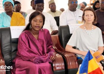 ​Tchad : Le Ministère de la Femme et l’UNICEF agissent pour la petite enfance