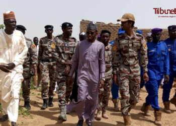 N&rsquo;Djaména : La police s&rsquo;installe sur l&rsquo;île de Goré pour sécuriser le fleuve