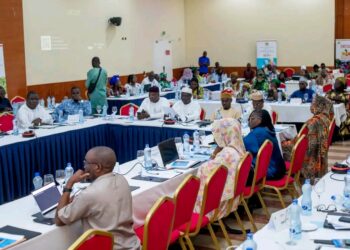 Tchad : Lancement de la cartographie des services de prise en charge des survivantes des VBG