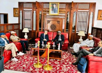 Tchad : Visite officielle du Ministre de l&rsquo;eau et de l&rsquo;énergie en Algérie