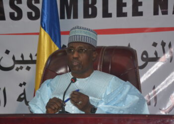 Tchad : L’Assemblée nationale condamne l’attaque de Barka Tolorom et appelle à l’unité nationale
