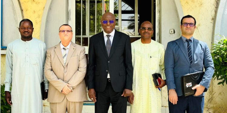 Coopération : renforcement du partenariat énergétique entre le Tchad et l&rsquo;Algérie
