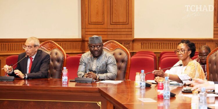 Tchad : La mobilisation continentale pour l&rsquo;eau et l&rsquo;assainissement s&rsquo;organise à N&rsquo;Djaména