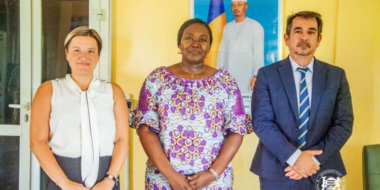 Le FMI et le ministère de la Justice collaborent pour l&rsquo;évolution des réformes