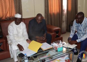 Tchad : Le Conseil constitutionnel examine les candidatures pour les élections partielles de 2026