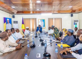 Tchad : La structuration d&rsquo;un nouveau cadre légal pour le numérique