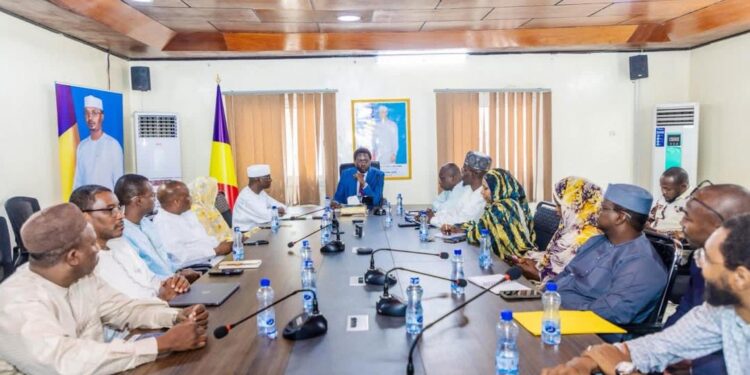 Tchad : La structuration d&rsquo;un nouveau cadre légal pour le numérique