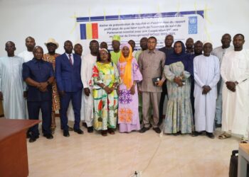N&rsquo;Djaména : lancement de l&rsquo;atelier sur le rapport « profil pays » 2023-2026.