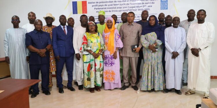 N&rsquo;Djaména : lancement de l&rsquo;atelier sur le rapport « profil pays » 2023-2026.