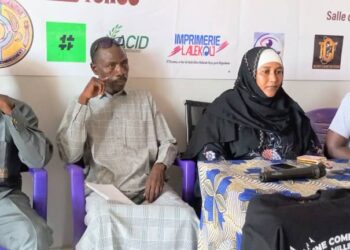 N&rsquo;djamena : Le 9ᵉ arrondissement se prépare pour le festival « Une Commune, Mille Cultures »