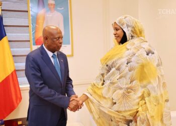 Tchad : l&rsquo;Ambassadeur de l&rsquo;Afrique du Sud reçu au Ministère des affaires étrangères