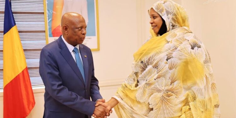 Tchad : l&rsquo;Ambassadeur de l&rsquo;Afrique du Sud reçu au Ministère des affaires étrangères