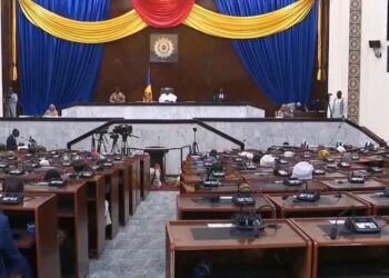 Tchad : L&rsquo;Assemblée nationale examine la régulation de l&rsquo;enseignement supérieur privé