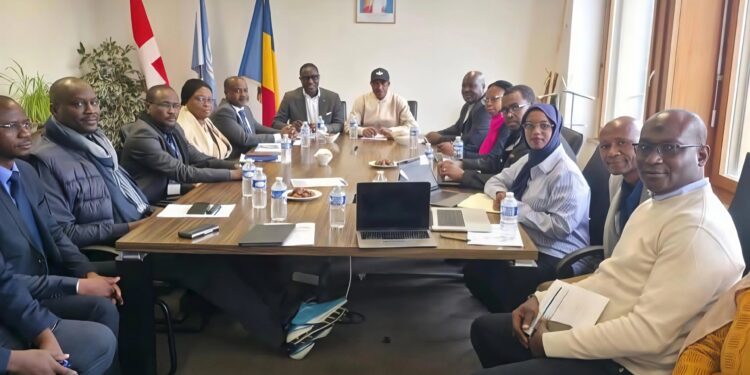 Tchad : Assemblée Mondiale de la Santé, la délégation tchadienne mobilisée à Genève