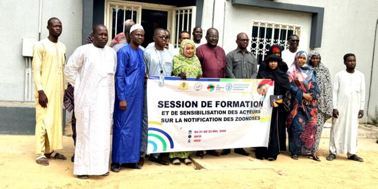 Tchad : Une formation intersectorielle pour renforcer la lutte contre les zoonoses