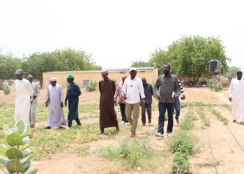 Tchad : L&rsquo;ITRAD évalue la production de semences et le système d&rsquo;irrigation à Dougui