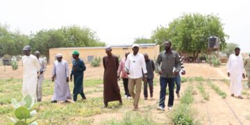 Tchad : L&rsquo;ITRAD évalue la production de semences et le système d&rsquo;irrigation à Dougui