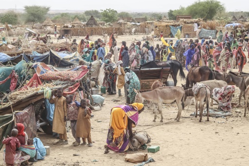 Afflux des réfugiés au Tchad, quel impact pour le pays ?