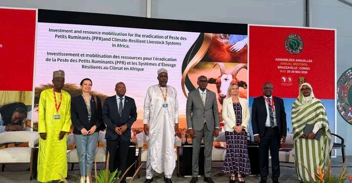 Tchad : Le ministre Abderahim Awat Atteib réaffirme la mobilisation continentale à Brazzaville pour l&rsquo;éradication de la PPR en Afrique d&rsquo;ici 2030
