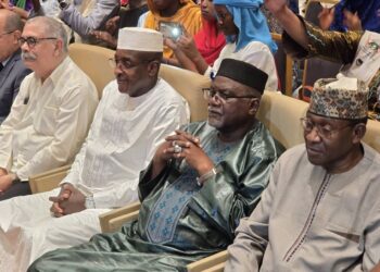 Le Tchad à l’honneur au Niger lors d’une grande célébration culturelle et de cohésion sociale