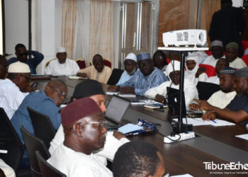 Tchad : Vers le 5ème Forum Tripartite, Une Rencontre Stratégique à la CCIAMA
