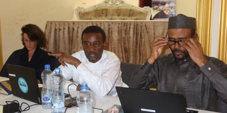 Tchad : Le Projet PILIER enclenche une nouvelle dynamique pour protéger N’Djamena des inondations