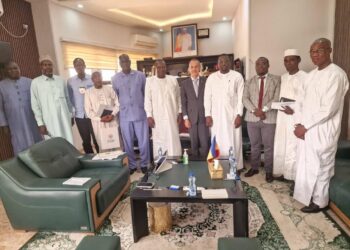 Agriculture: Coopération Tchad-CICR vers une relance stratégique de la filière semencière au Lac