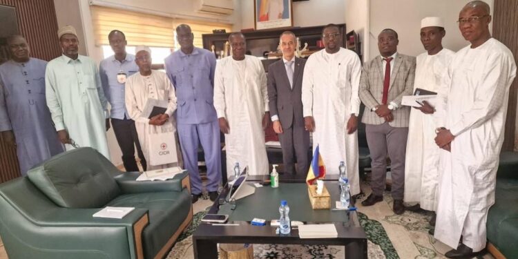 Agriculture: Coopération Tchad-CICR vers une relance stratégique de la filière semencière au Lac