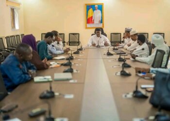 Tchad : Réunion du comité d&rsquo;organisation de la semaine nationale de l&rsquo;arbre, édition 2026