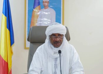 Tchad : une délégation suisse reçue au Ministère de la Santé Publique