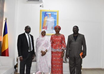 Tchad : Une mission du CREFIAF pour renforcer l’audit public