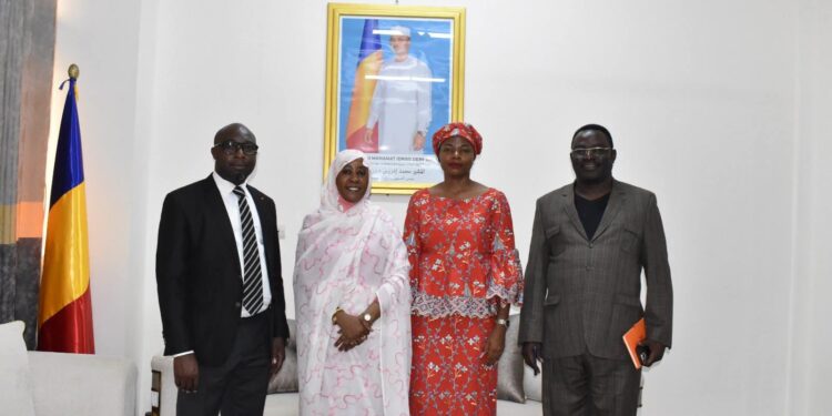 Tchad : Une mission du CREFIAF pour renforcer l’audit public