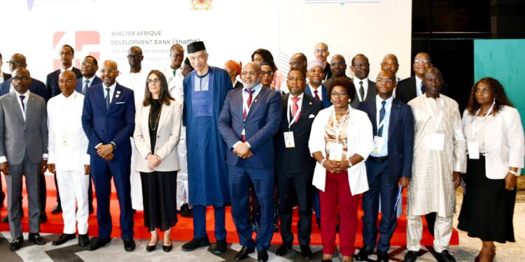 Le Tchad renforce son partenariat avec Shelter Afrique pour le développement urbain