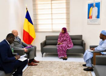 Tchad : Consolidation du partenariat avec les États-Unis dans le secteur des transports