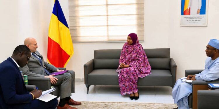Tchad : Consolidation du partenariat avec les États-Unis dans le secteur des transports