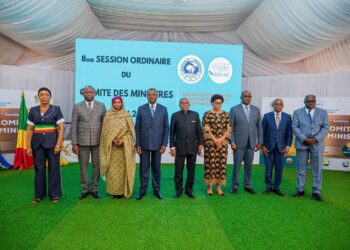 Le Tchad engagé dans le renforcement de la sécurité aérienne régionale