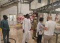Tchad : Visite technique d&rsquo;infrastructures d&rsquo;abattage modernes à Gaziantep
