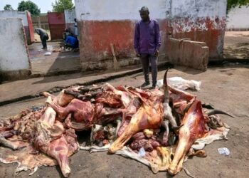Moundou : saisie et destruction de viande avariée