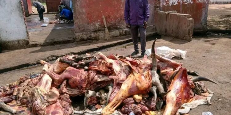 Moundou : saisie et destruction de viande avariée
