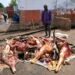 Moundou : saisie et destruction de viande avariée