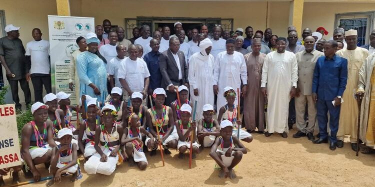 Mayo-Kebbi Est : Lancement officiel du PADIR-CVA à Bongor pour booster la filière rizicole