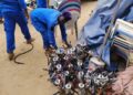 N’Djaména : la mairie saisit une importante quantité de chicha lors d’une opération de contrôle