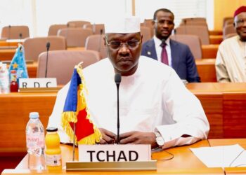 Genève : Le Tchad s&rsquo;implique dans la modernisation de l&rsquo;administration du travail en Afrique