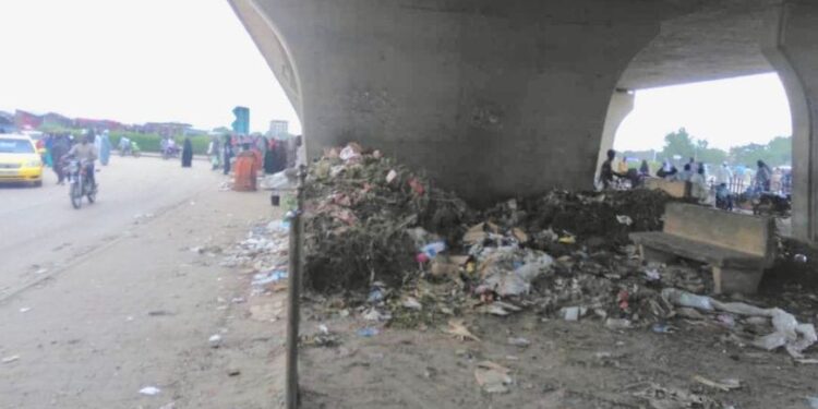 N’Djaména : L’incivisme de la population sous les viaducs de la capitale