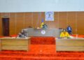 Tchad : Au Sénat, les faiblesses de la diplomatie tchadienne passées au crible