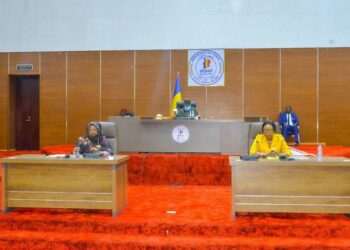 Tchad : Au Sénat, les faiblesses de la diplomatie tchadienne passées au crible