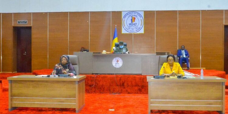 Tchad : Au Sénat, les faiblesses de la diplomatie tchadienne passées au crible