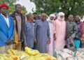 Mayo Kebbi Est : Distribution des vivres dans le département de Mayo Boneye